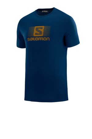 Salomon Blend Logo Erkek Tişört LC1052800