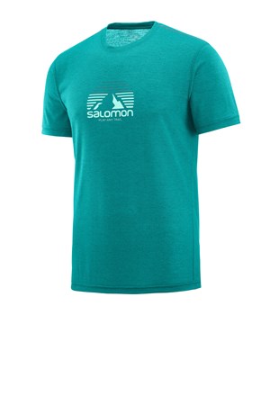 Salomon Explore Graphic Erkek Outdoor Tişört LC1073500