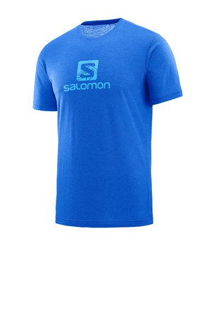 Salomon Explore Graphic Erkek Outdoor Tişört LC1073800
