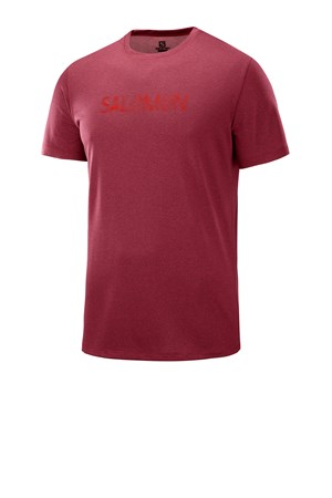 Salomon Agile Graphic Erkek Spor Tişört LC1118200