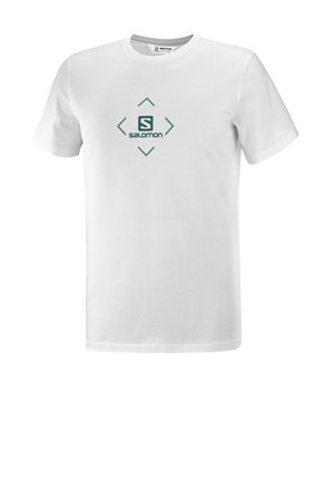 Salomon Salomon Cotton Erkek Outdoor Tişört LC1507400