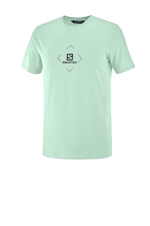 Salomon Salomon Cotton Erkek Outdoor Tişört LC1507500