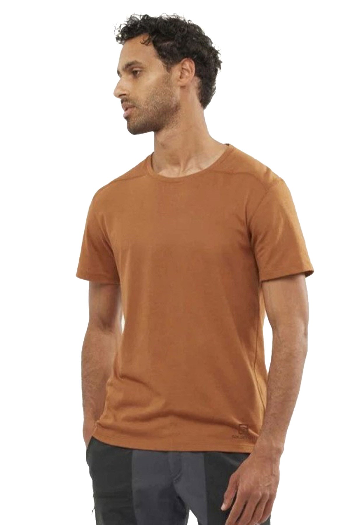 Salomon Essential Solid Erkek Outdoor Tişört LC1717600 Kahverengi
