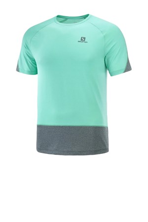 Salomon Cross Run ss Erkek Koşu Tişört