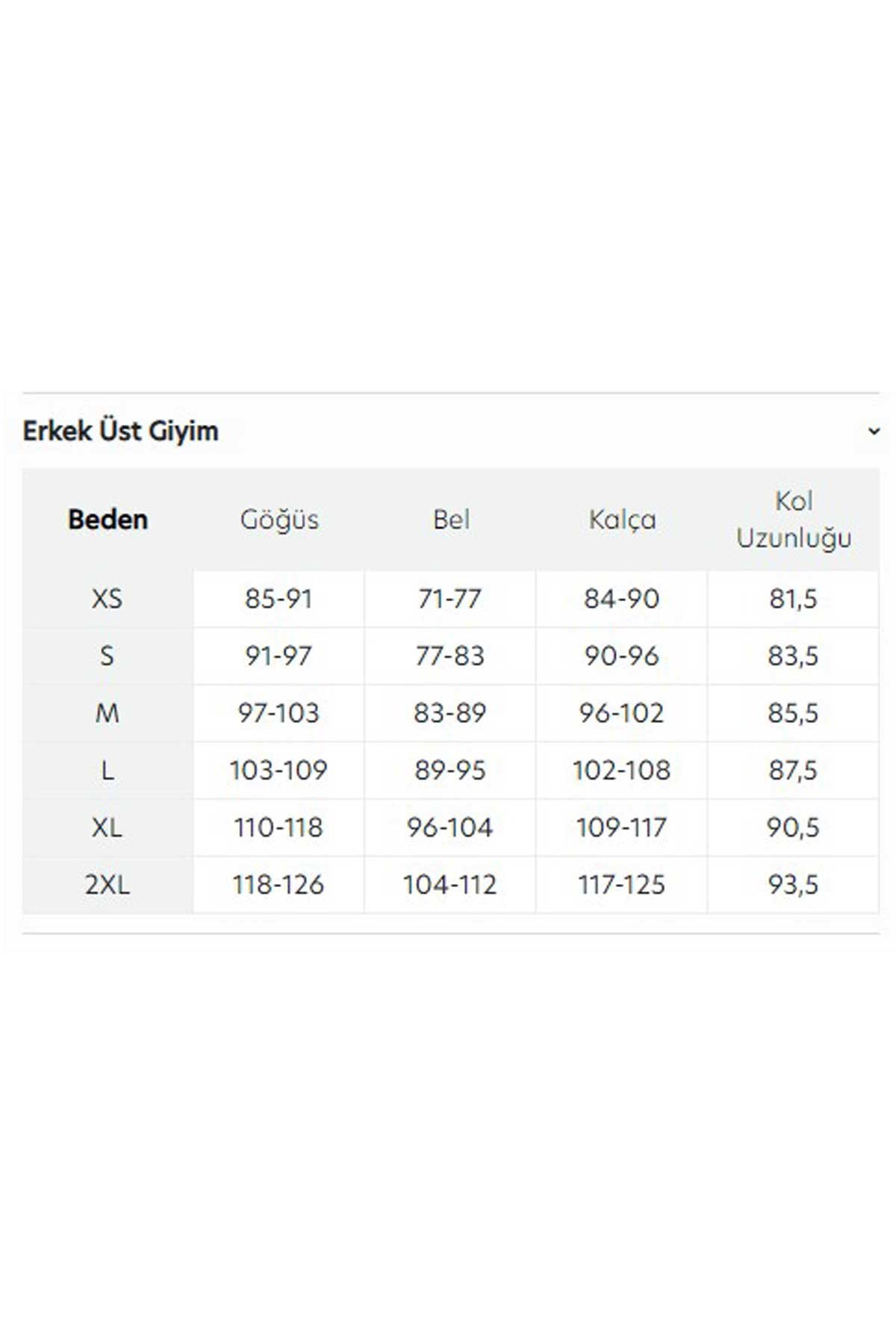 Salomon Running Graphic Erkek Tişört LC2218900 Beyaz