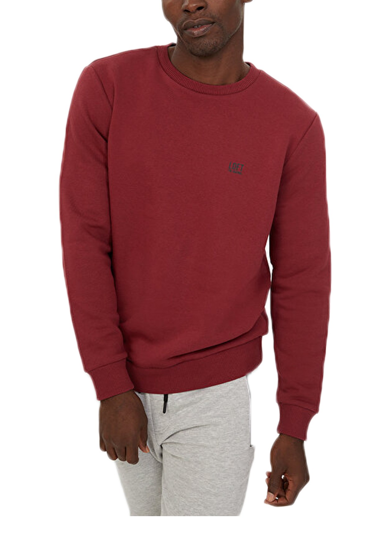 Loft Erkek Sweatshirt LF2023029 Mor