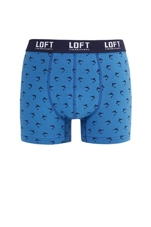 Loft Erkek Boxer 2024143