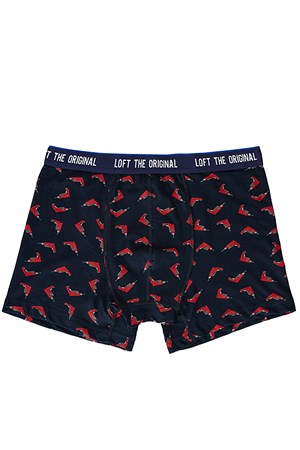 Loft Regular Fit Erkek Boxer LF2030032 Lacivert