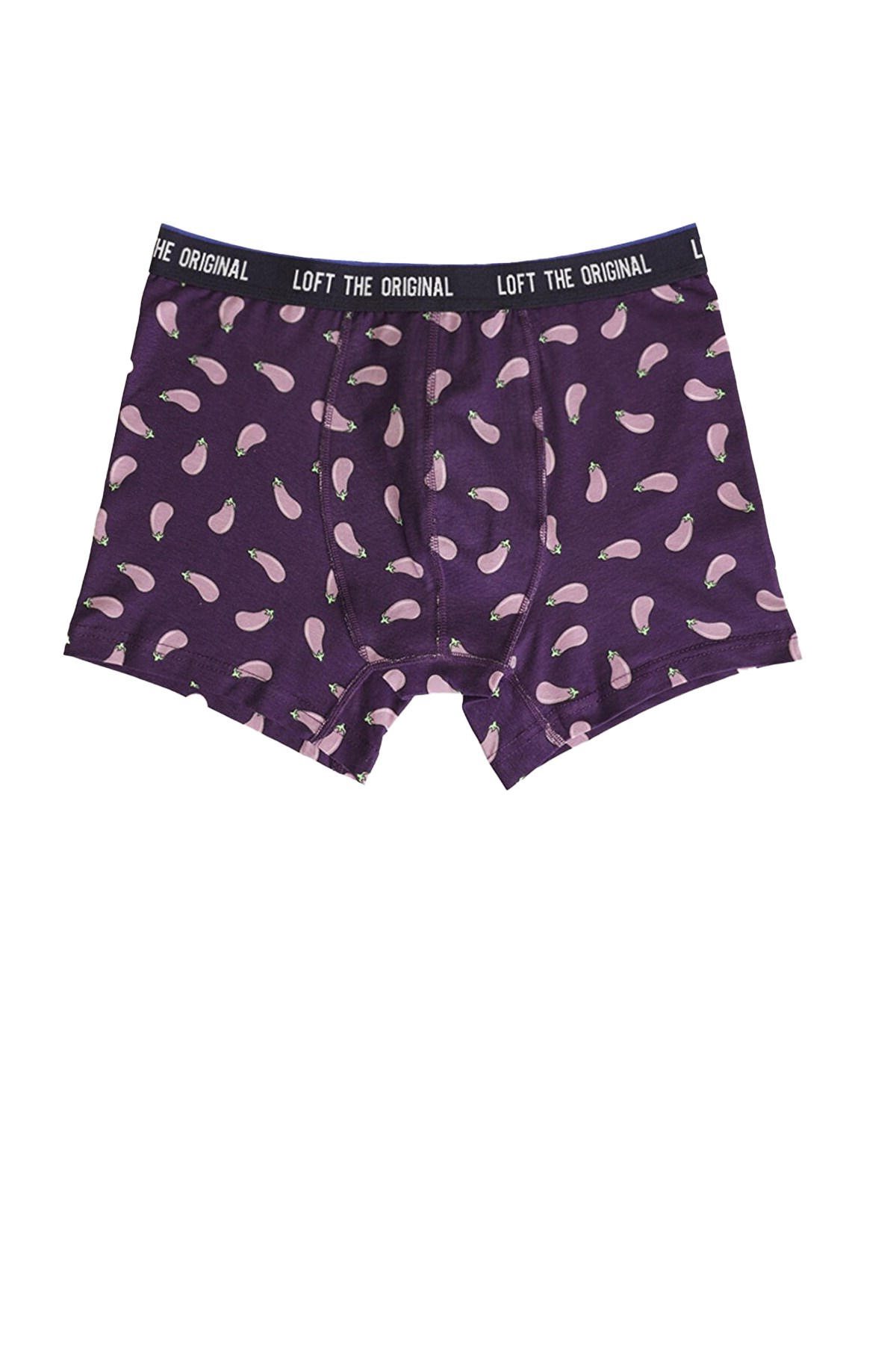 Loft Erkek Boxer LF2030266 Mor
