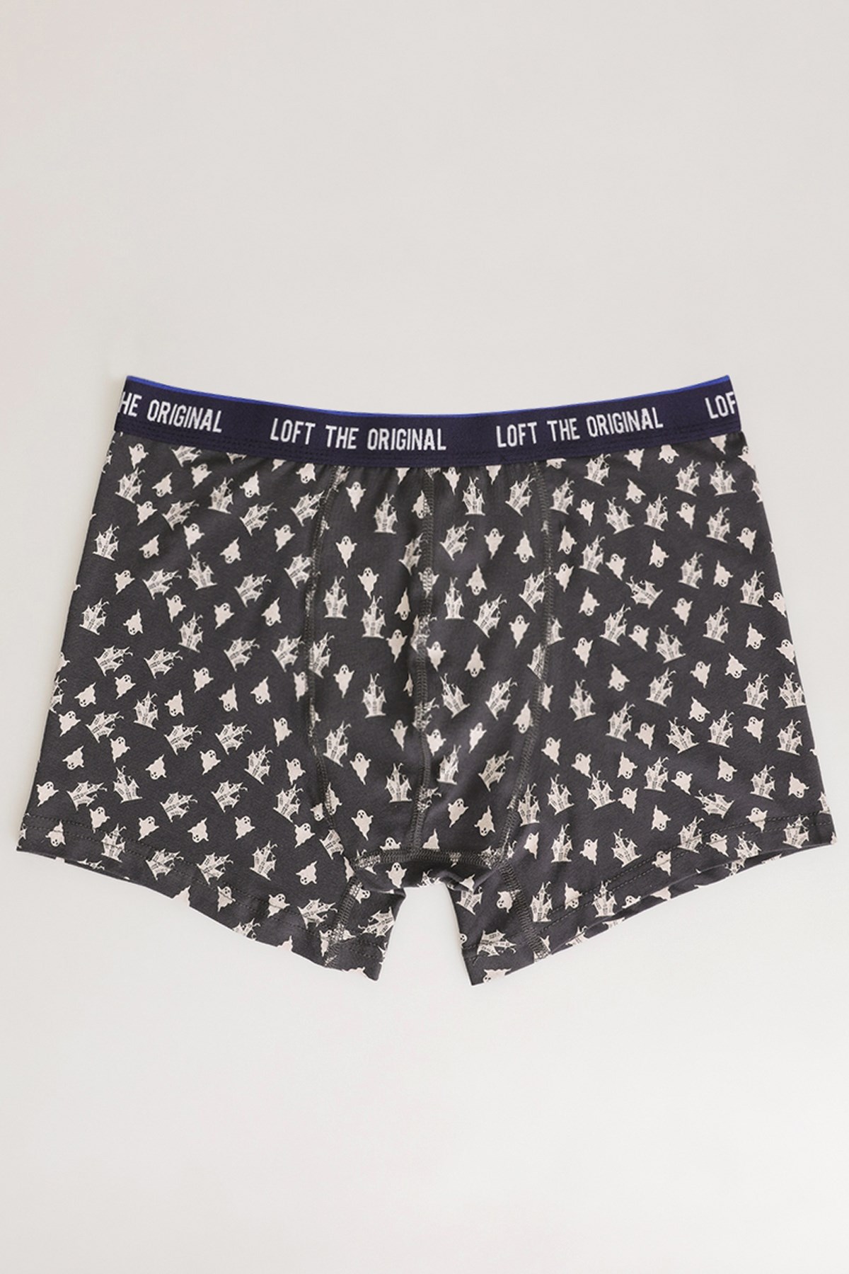 Loft Erkek Boxer LF2030270 Lacivert