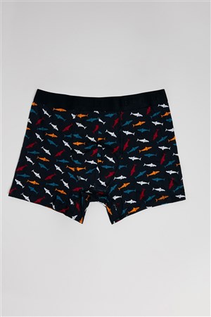 Loft Erkek Boxer LF2035963 Çok Renkli
