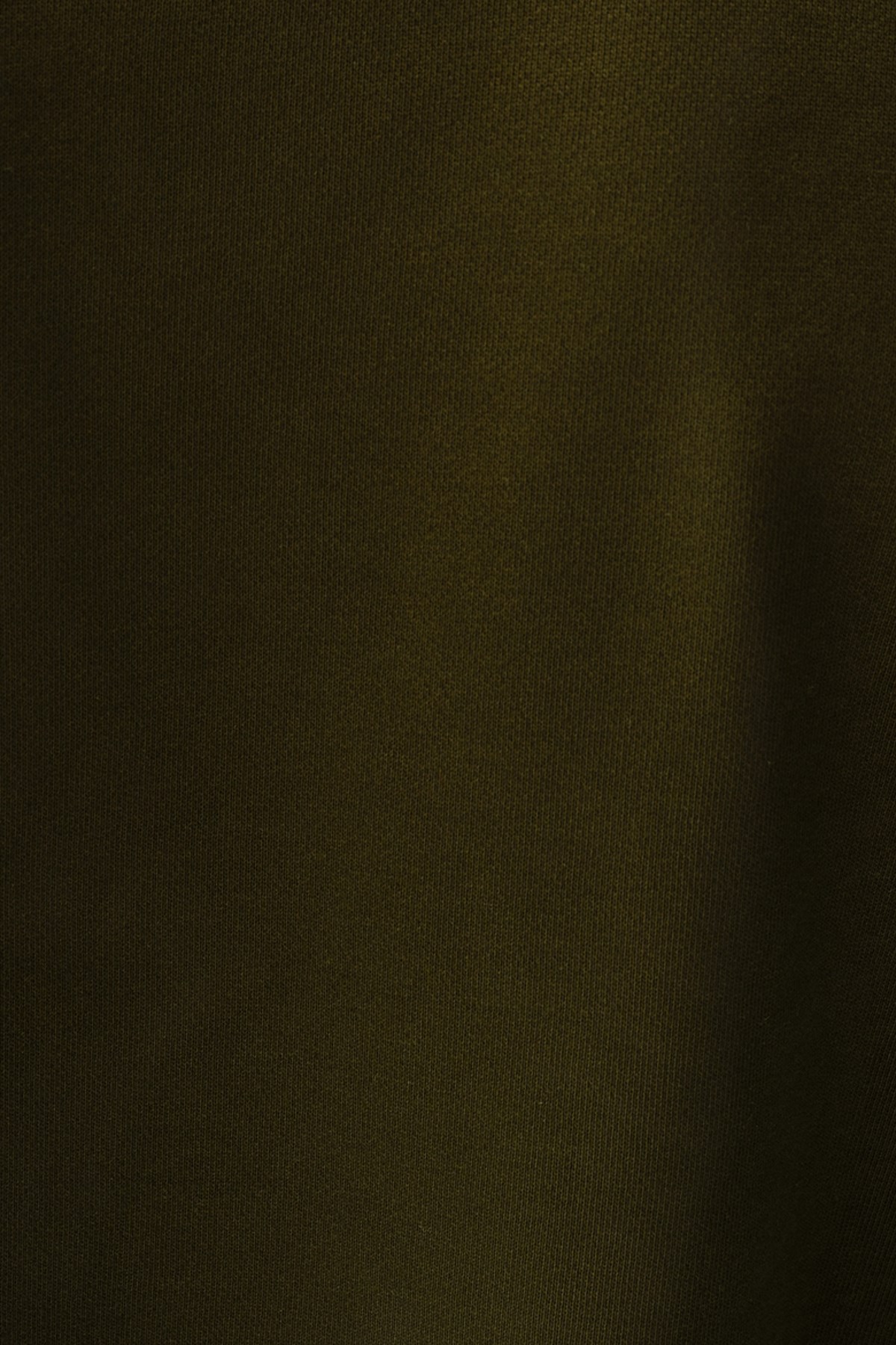 Loft Erkek Sweatshirt LF2037486 Haki