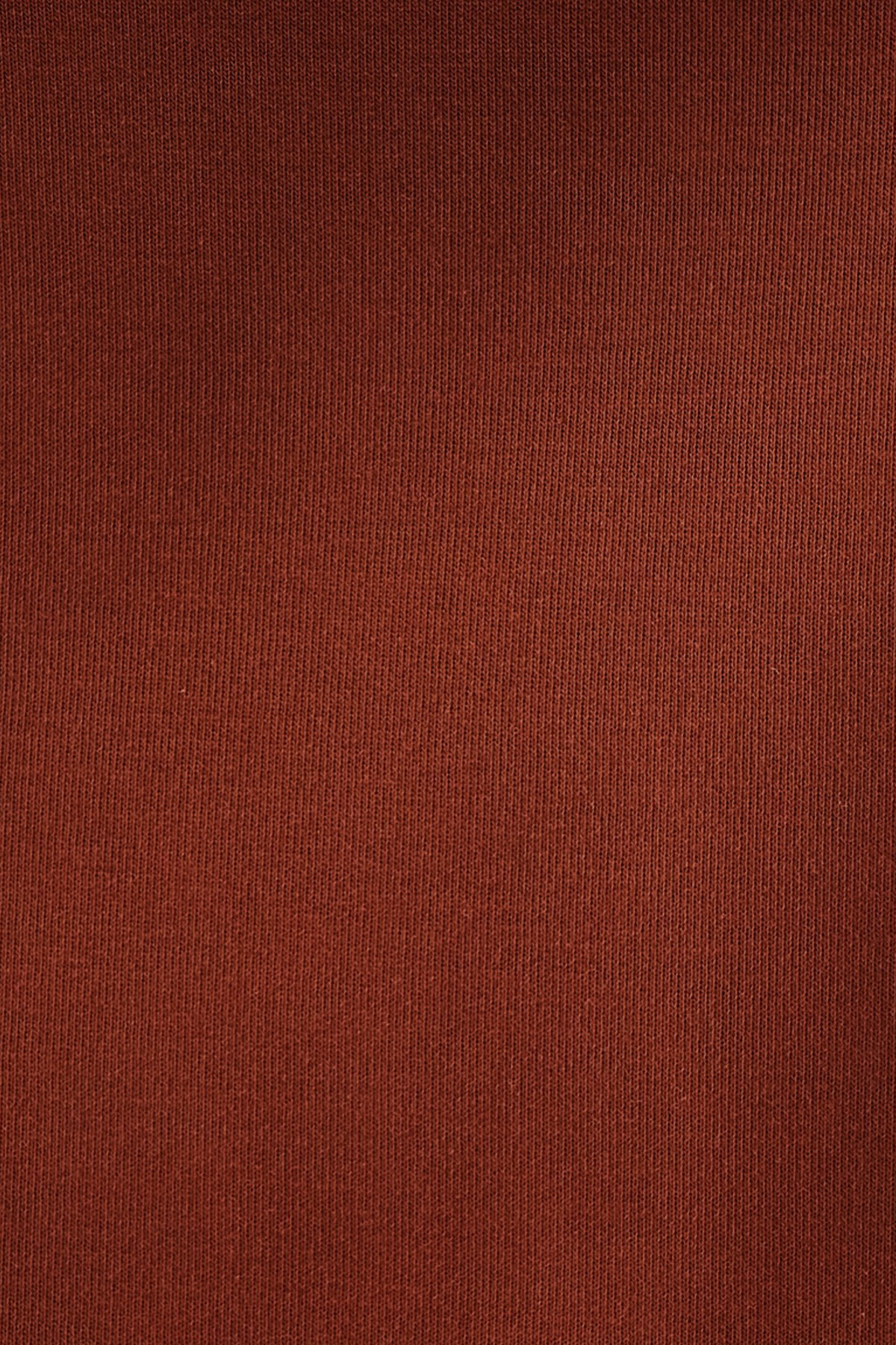 Loft Kadın Sweatshirt LF2038207 Kahverengi