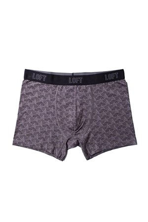 Loft Erkek Boxer