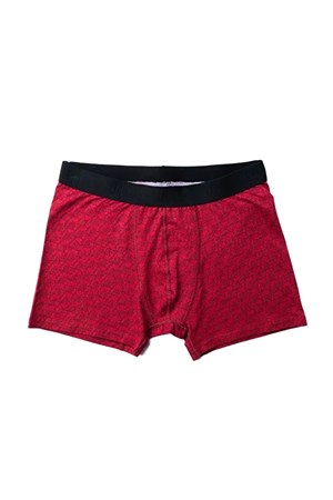 Loft Erkek Boxer