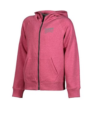 Hummel Bience Çocuk Sweatshirt T37353-3288