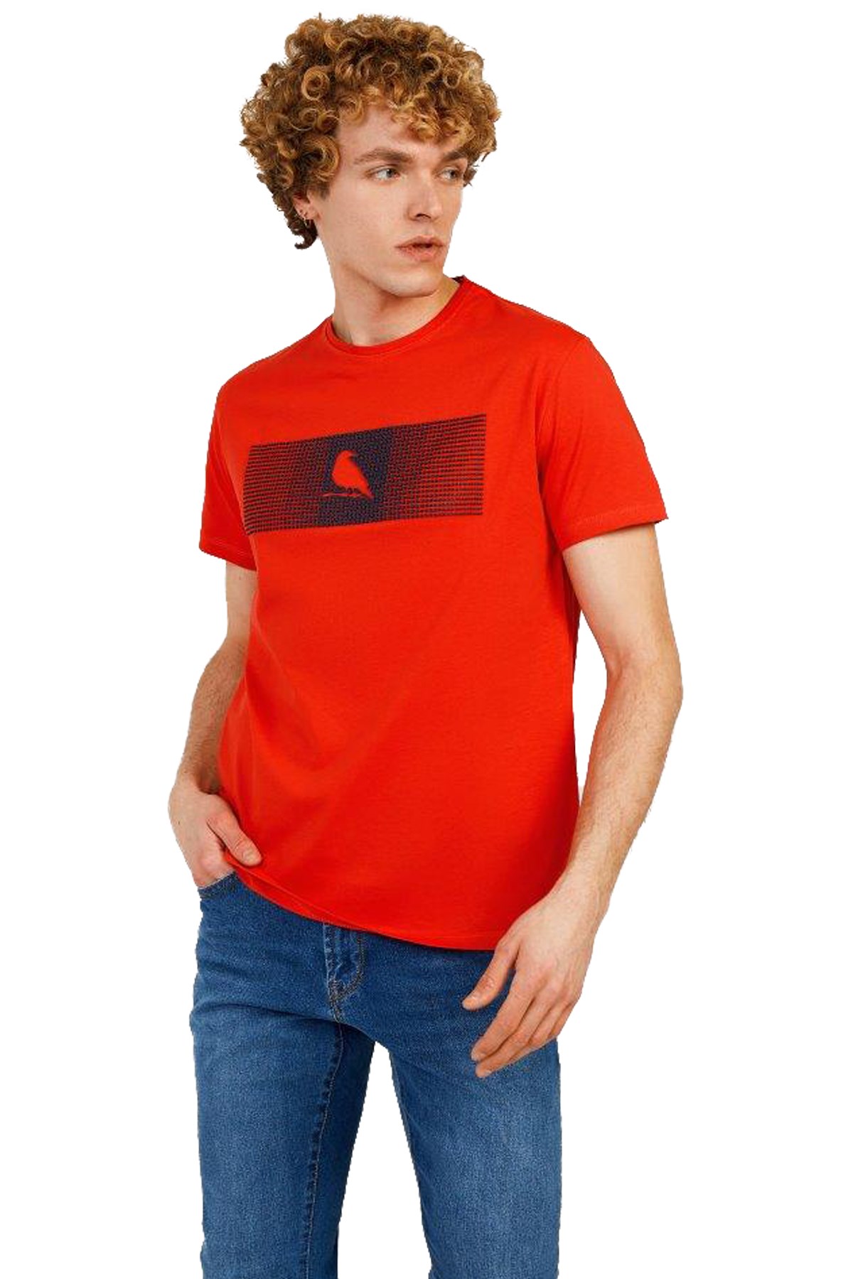 The Crow Enjoy Erkek Tişört TC7126 Kırmızı