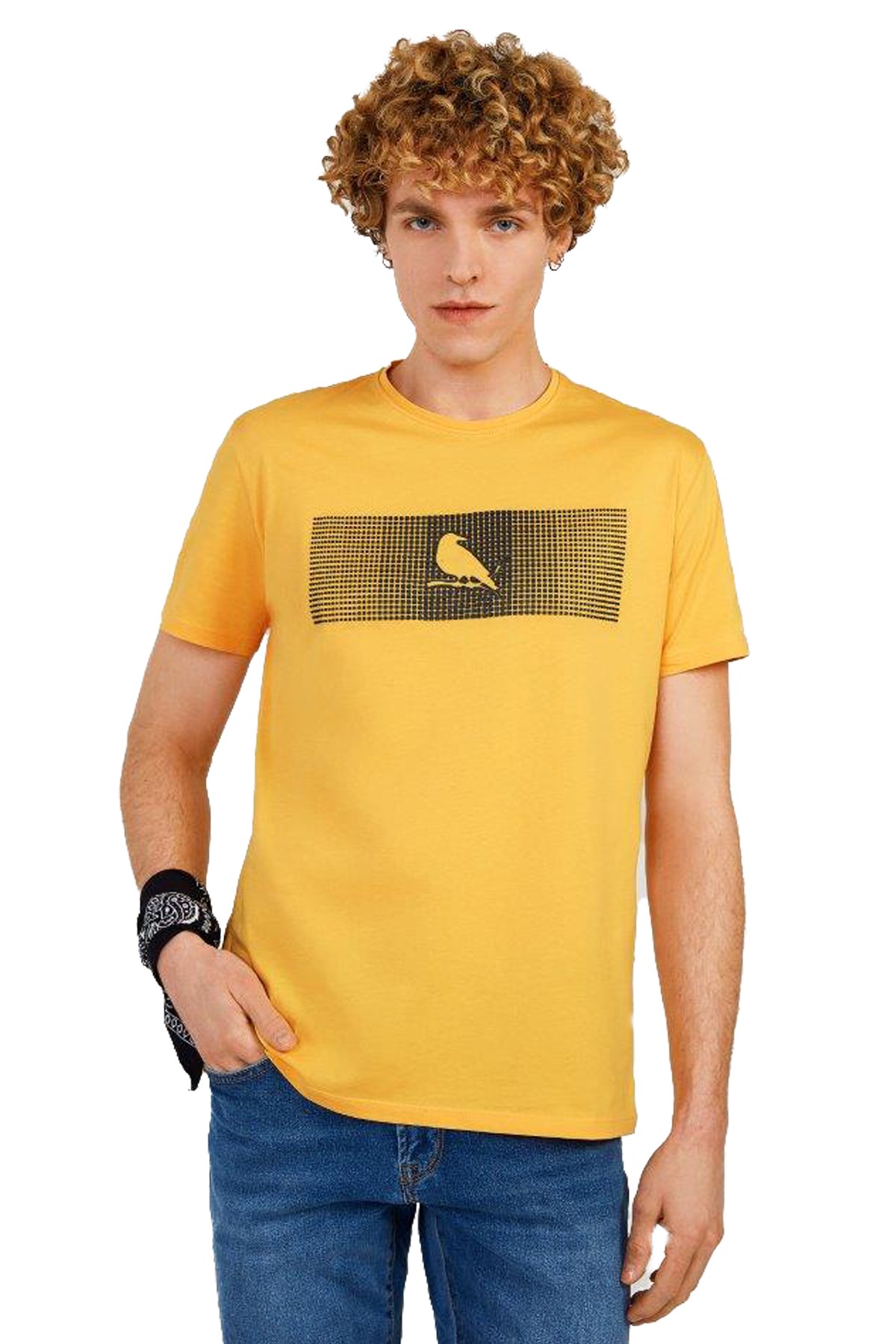 The Crow Enjoy Erkek Tişört TC7126 Sarı