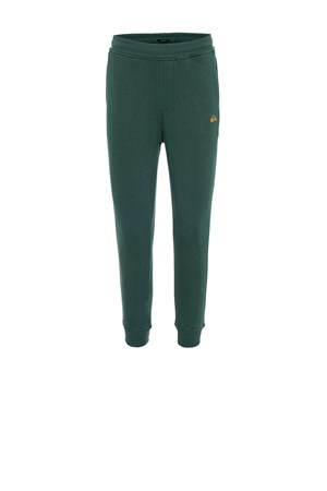 Quiksilver Everyday Pants Slim Erkek Eşofman Altı TEQYFB07003-GRN0