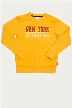 Wonder Kids Erkek Çocuk Sweatshirt WK20AW6014-S