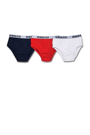 Wonder Kids Çocuk 3'Lü Slip WUK6106